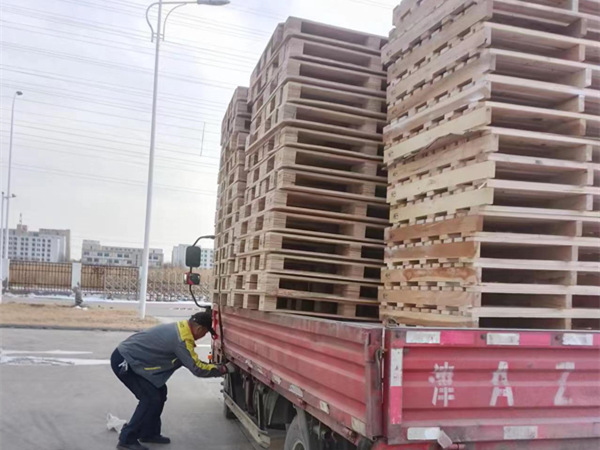 滨海新区木托盘回收